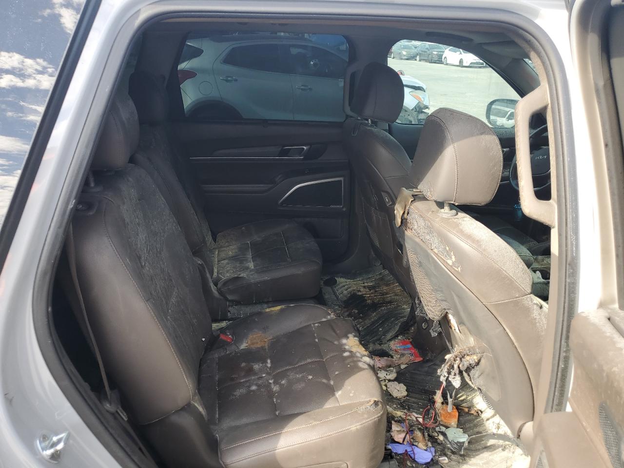 2022 Kia Telluride Sx VIN: 5XYP5DHC7NG237883 Lot: 80575275