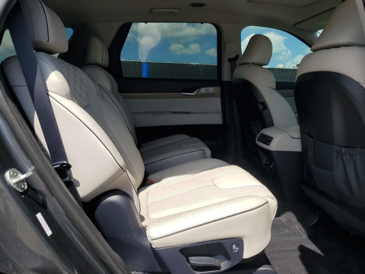 2021 Hyundai Palisade Limited VIN: KM8R54HE6MU245721 Lot: 81296845