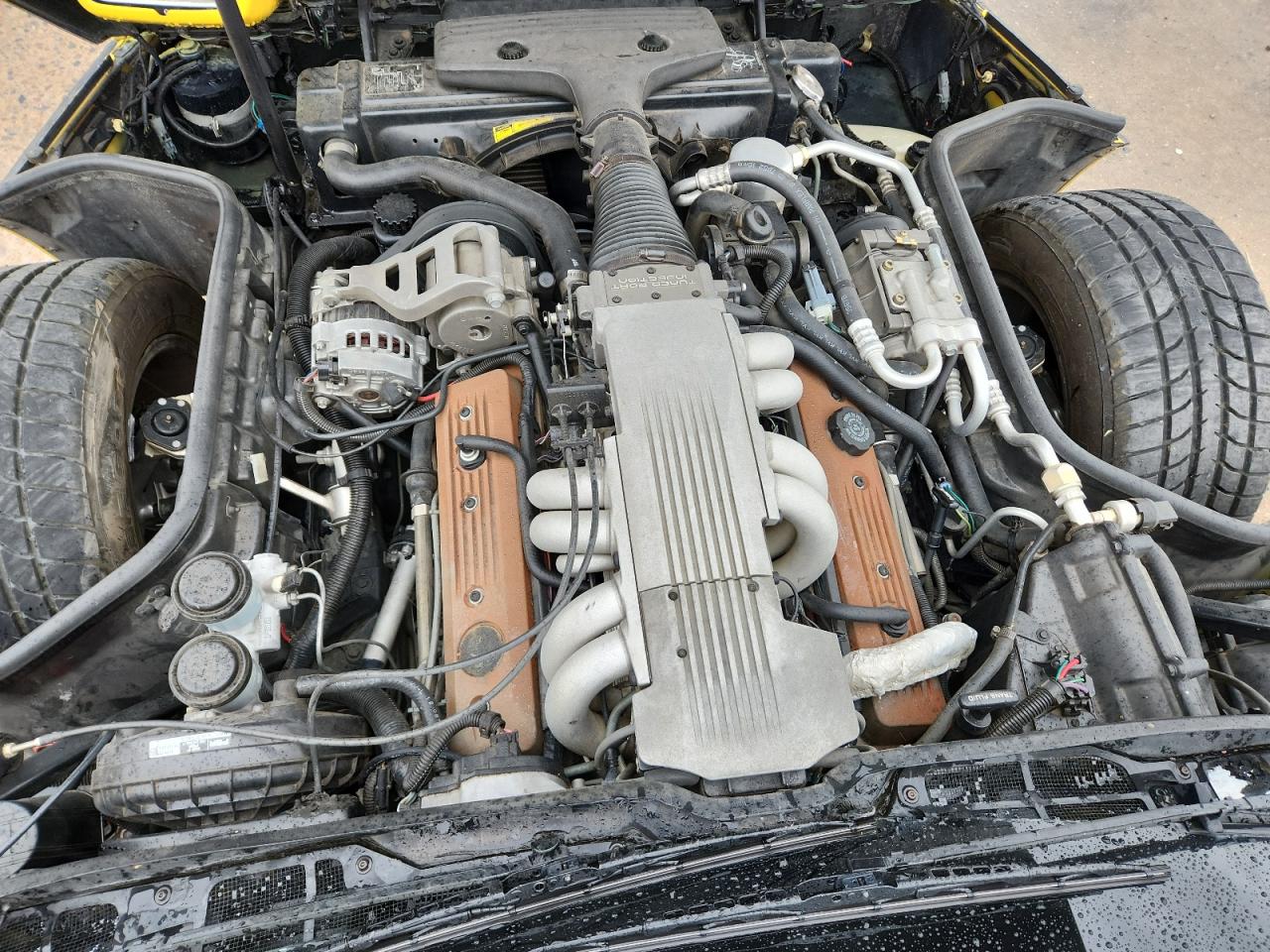 1988 Chevrolet Corvette VIN: 1G1YY2184J5113393 Lot: 80194525