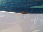 2012 SEAT IBIZA SE  for sale at Copart BRISTOL
