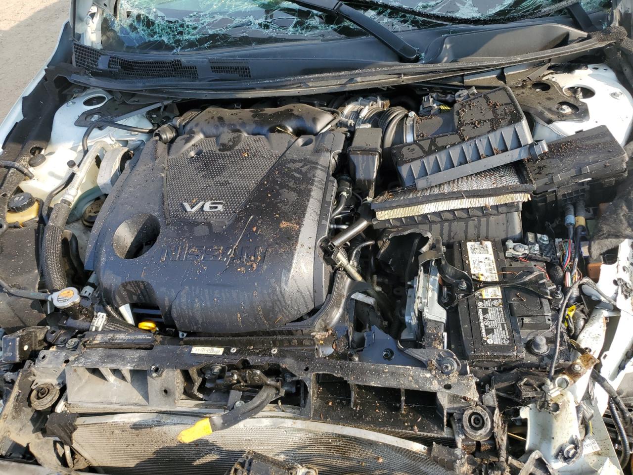 2021 Nissan Maxima Platinum VIN: 1N4AA6FV9MC512101 Lot: 81090405