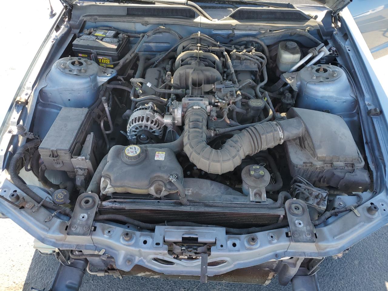 2006 Ford Mustang VIN: 1ZVHT84N165260320 Lot: 80752265