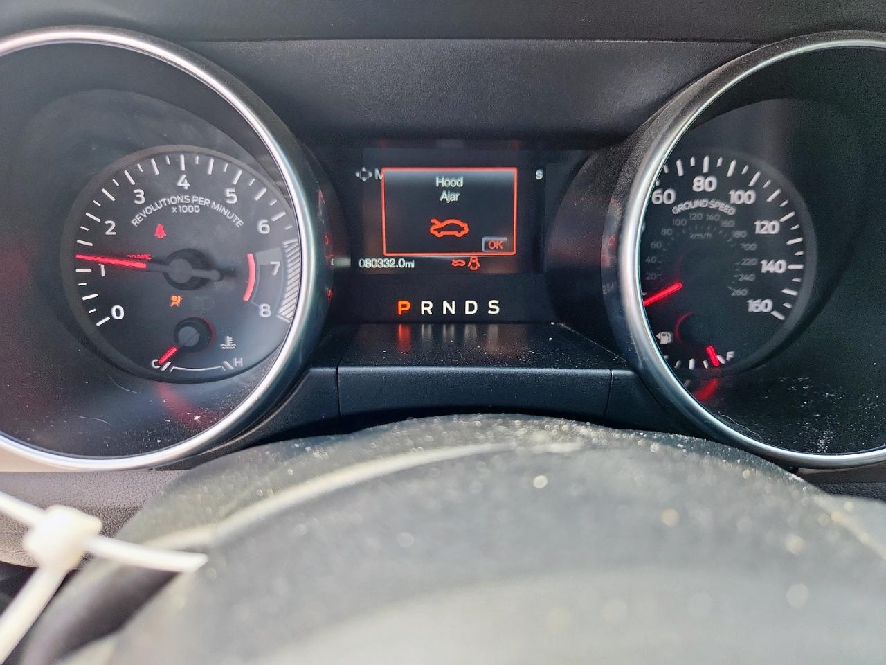 2019 Ford Mustang VIN: 1FATP8UH8K5131373 Lot: 82092825