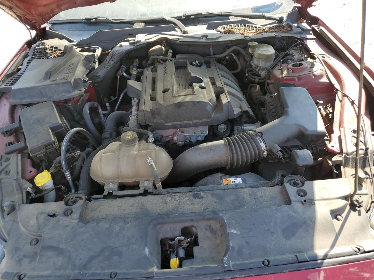 2016 Ford Mustang VIN: 1FA6P8TH1G5236083 Lot: 81665125