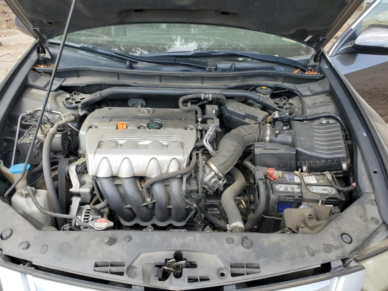 2010 Acura Tsx VIN: JH4CU2F6XAC041341 Lot: 81282675