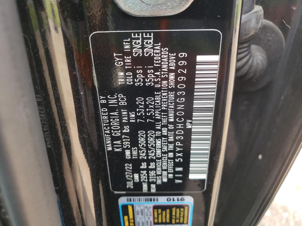 2022 Kia Telluride Ex VIN: 5XYP3DHC0NG309299 Lot: 71818675