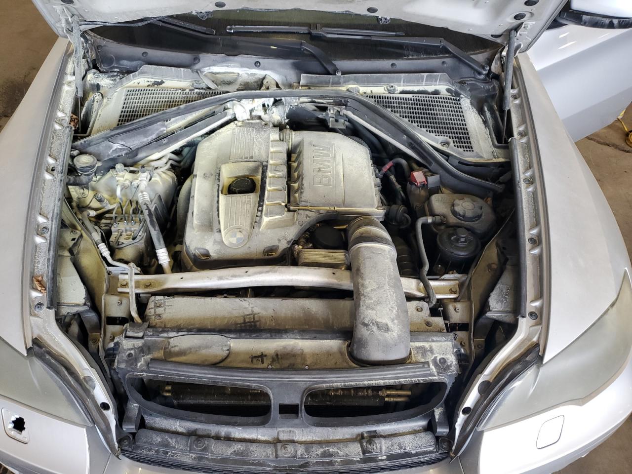 Фото: 5UXFG43519L224344