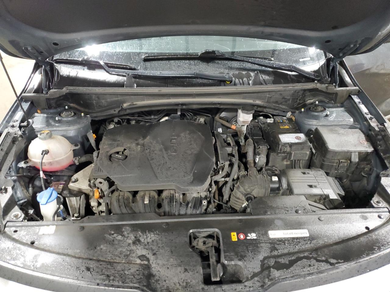 2023 Kia Sportage Lx VIN: KNDPUCAF8P7146784 Lot: 81642625