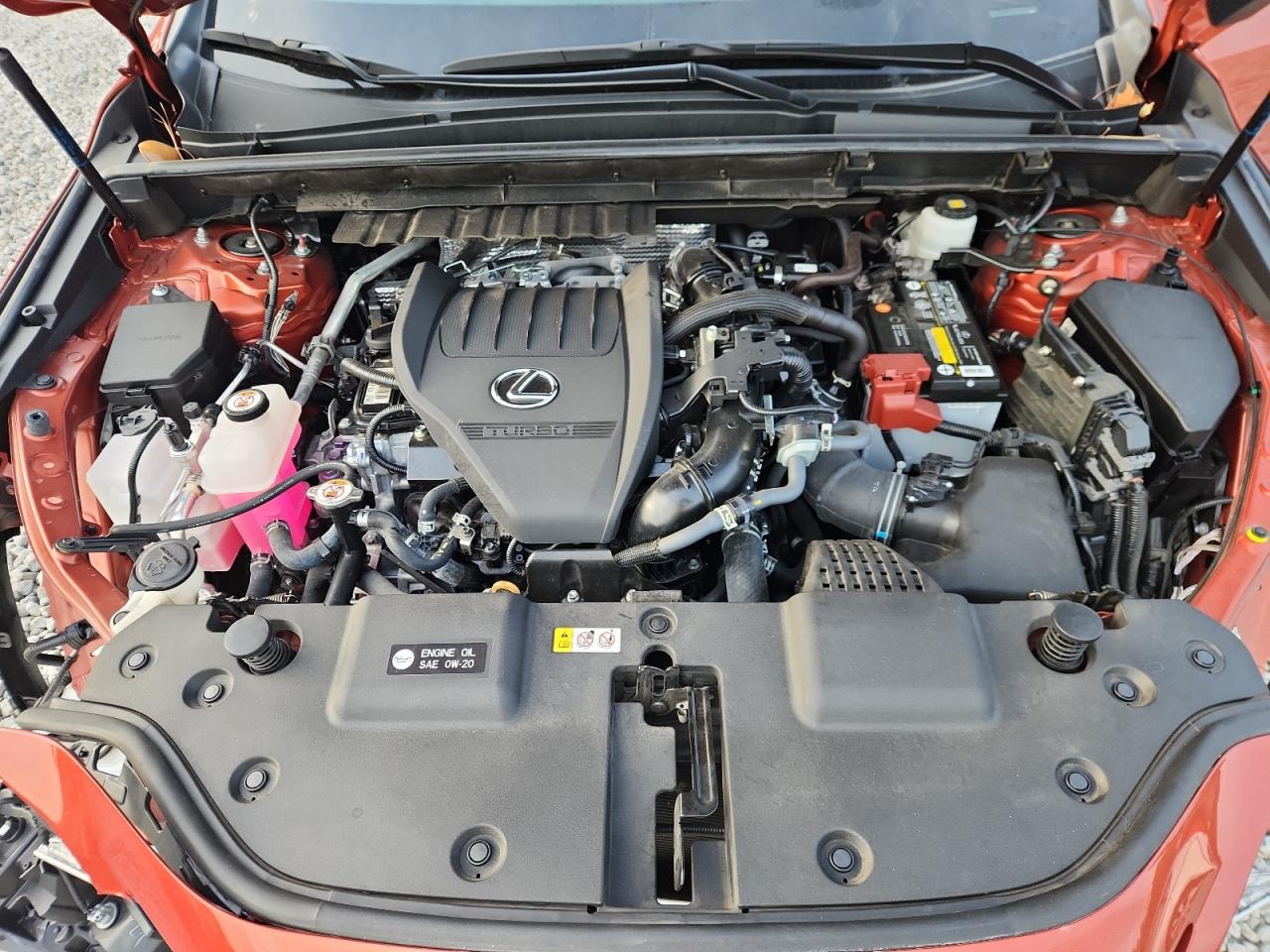 2023 Lexus Nx 350 VIN: 2T2GGCEZ2PC025383 Lot: 81706925