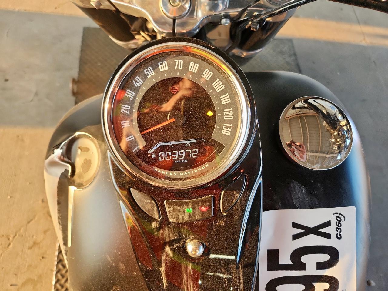 2020 Harley-Davidson Flsl VIN: 1HD1YDJ13LB070062 Lot: 80452395