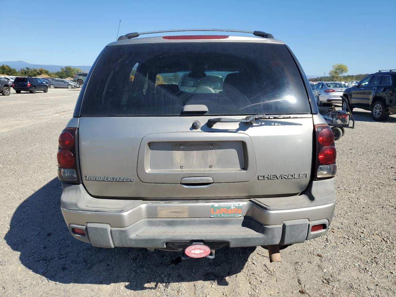 2002 Chevrolet Trailblazer VIN: 1GNDS13S922163470 Lot: 80764705