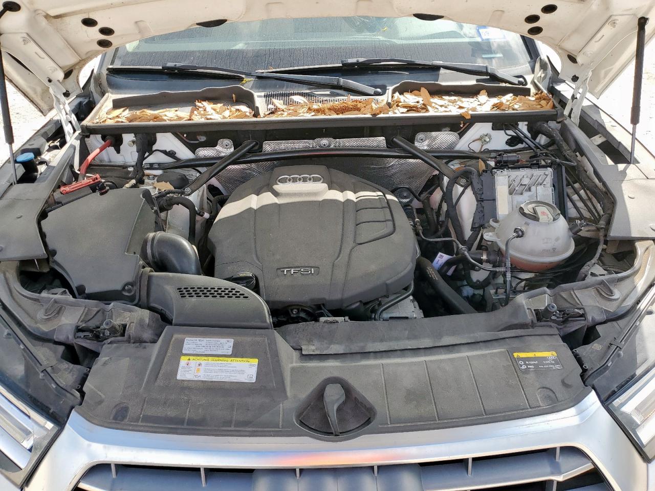 2019 Audi Q5 Premium VIN: WA1ANAFY1K2073050 Lot: 67406695