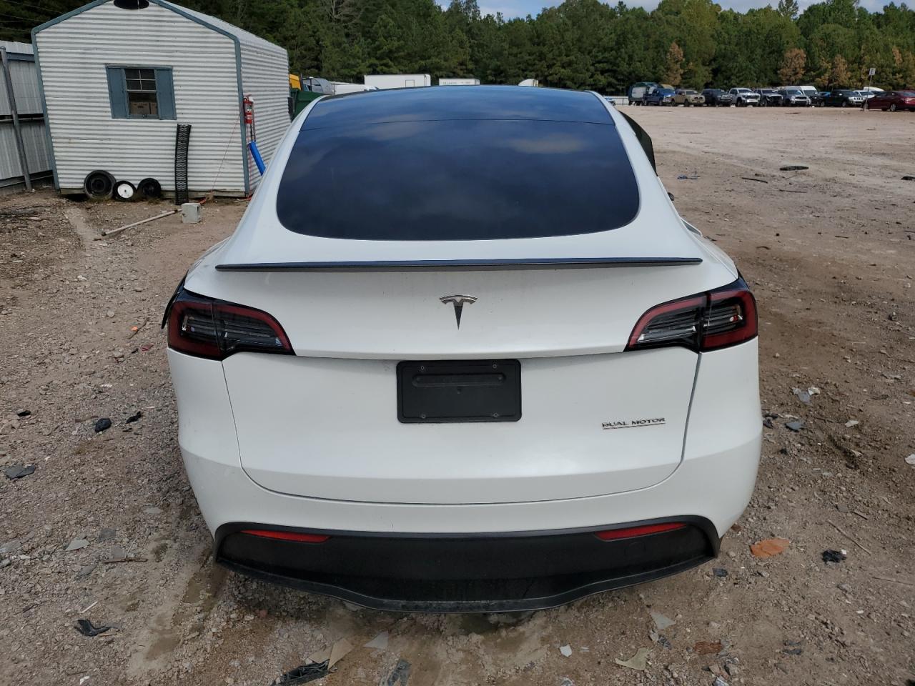 2023 Tesla Model Y VIN: 7SAYGDEF1PF665541 Lot: 71634055