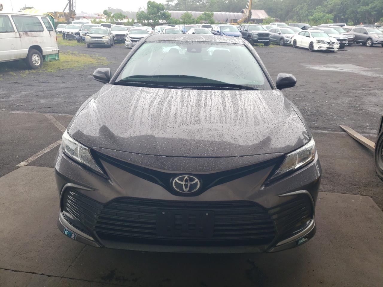 VIII (XV70) VIII (XV70)