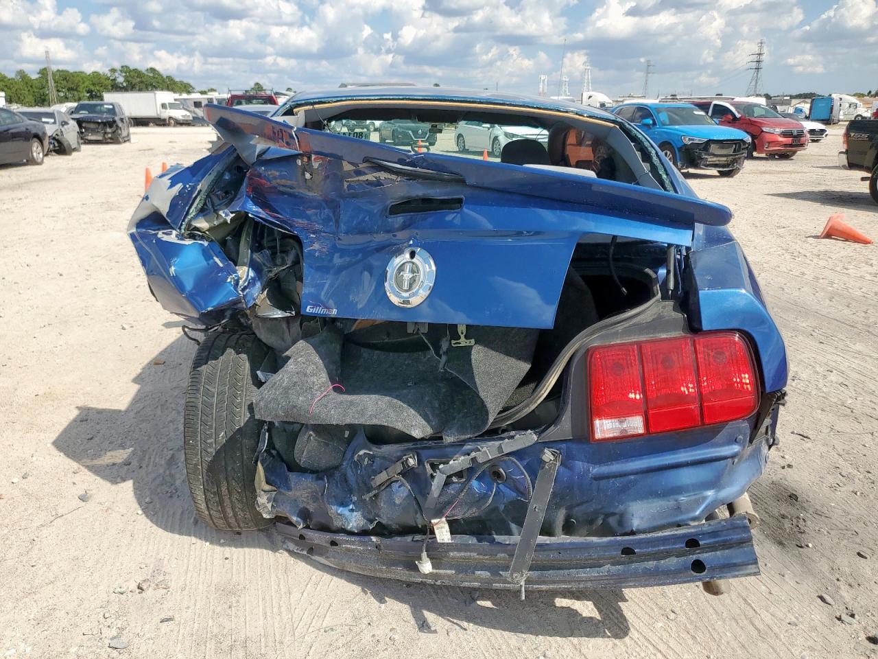 2008 Ford Mustang VIN: 1ZVHT80N385171695 Lot: 80144245