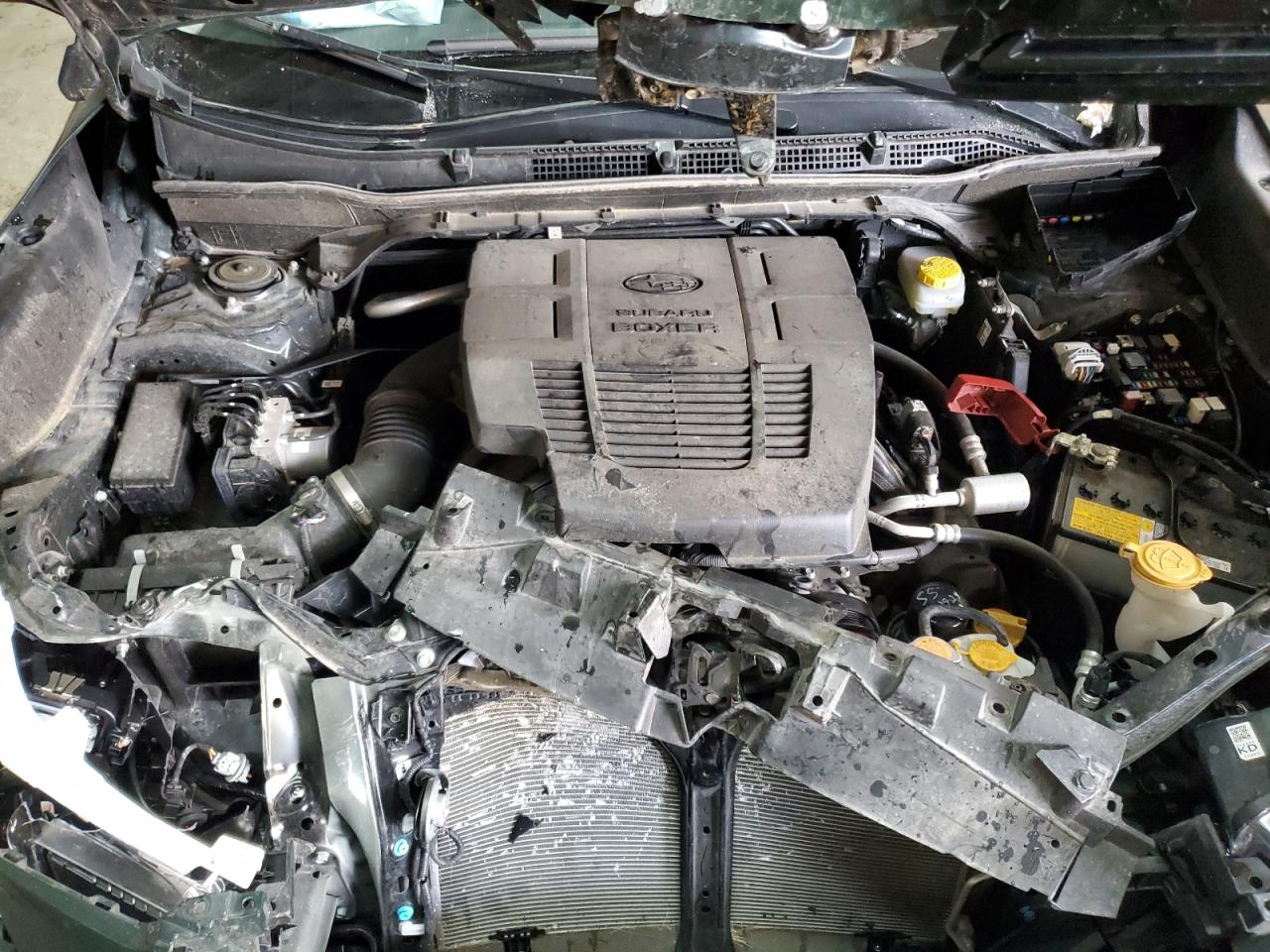 2024 Subaru Forester Premium VIN: JF2SKADC7RH425986 Lot: 80379135