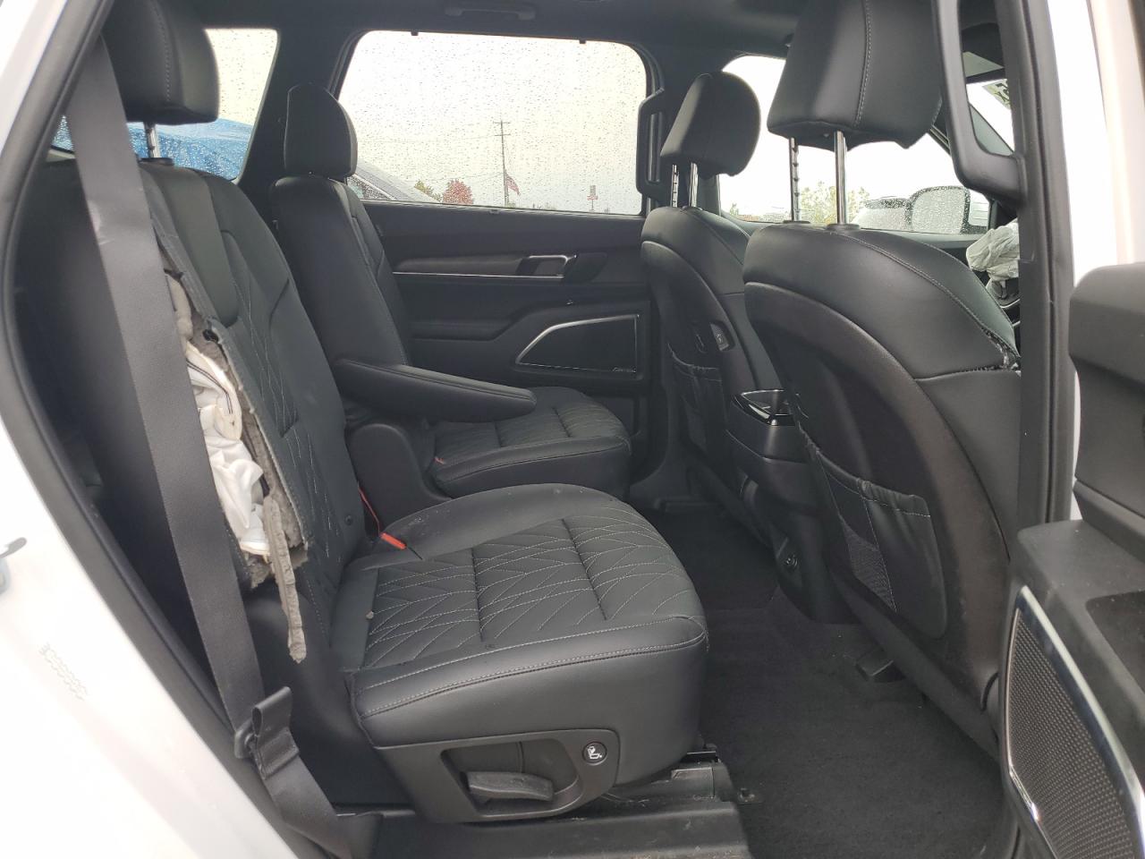 2024 Kia Telluride Sx VIN: 5XYP5DGC6RG549023 Lot: 81596325