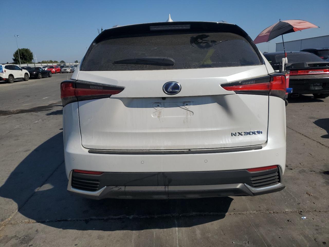 2019 Lexus Nx 300H VIN: JTJBJRBZ2K2121879 Lot: 80093295