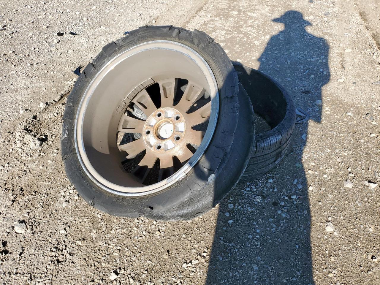 2009 Honda Civic Exl VIN: 19XFA169X9E034745 Lot: 81735905