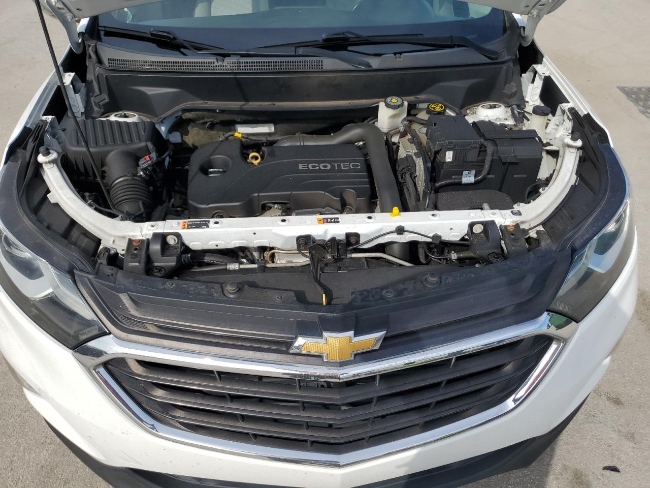 2019 Chevrolet Equinox Ls VIN: 2GNAXSEV8K6200755 Lot: 82095405