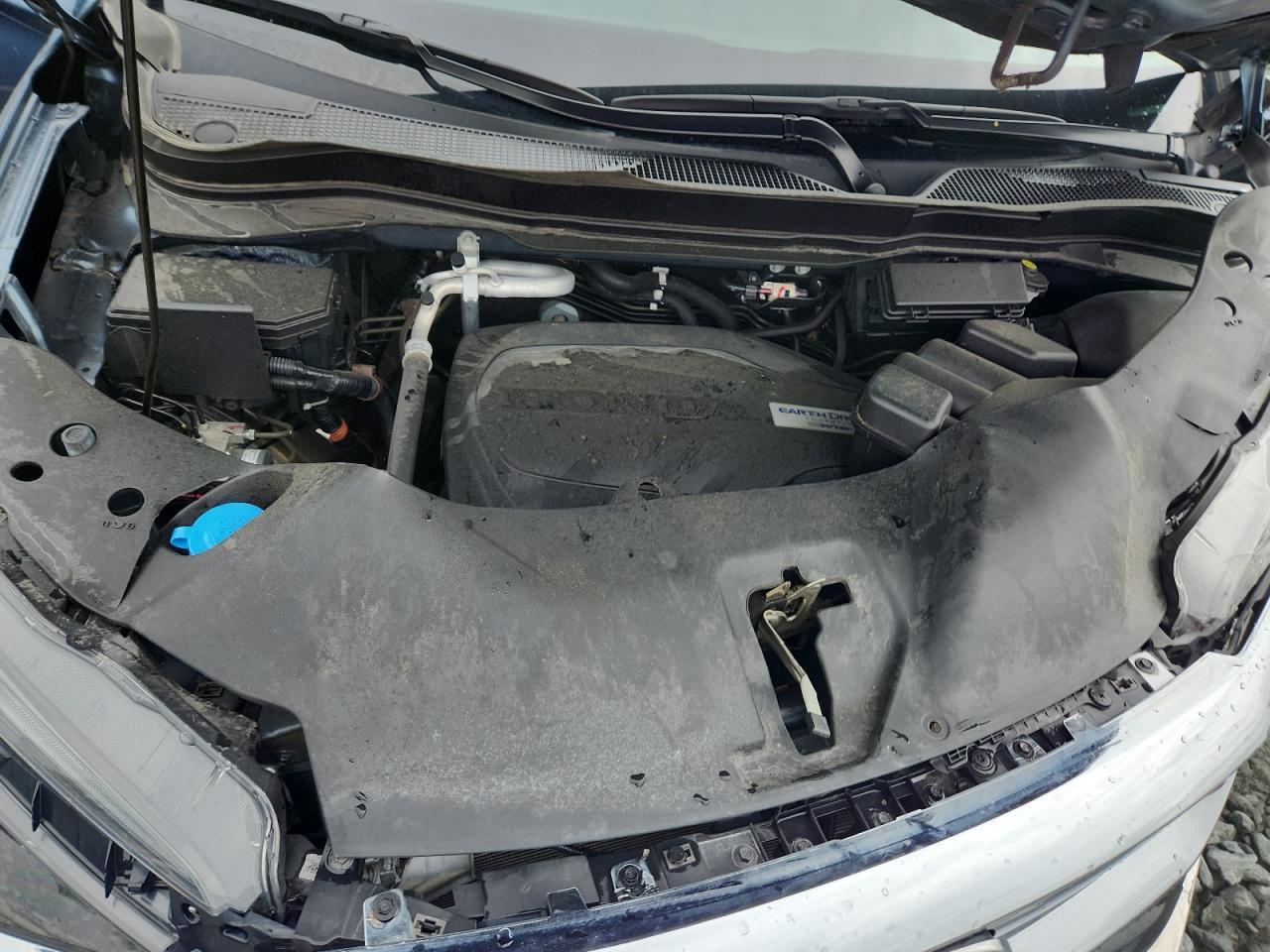 2019 Honda Pilot Exl VIN: 5FNYF5H51KB039943 Lot: 81245125