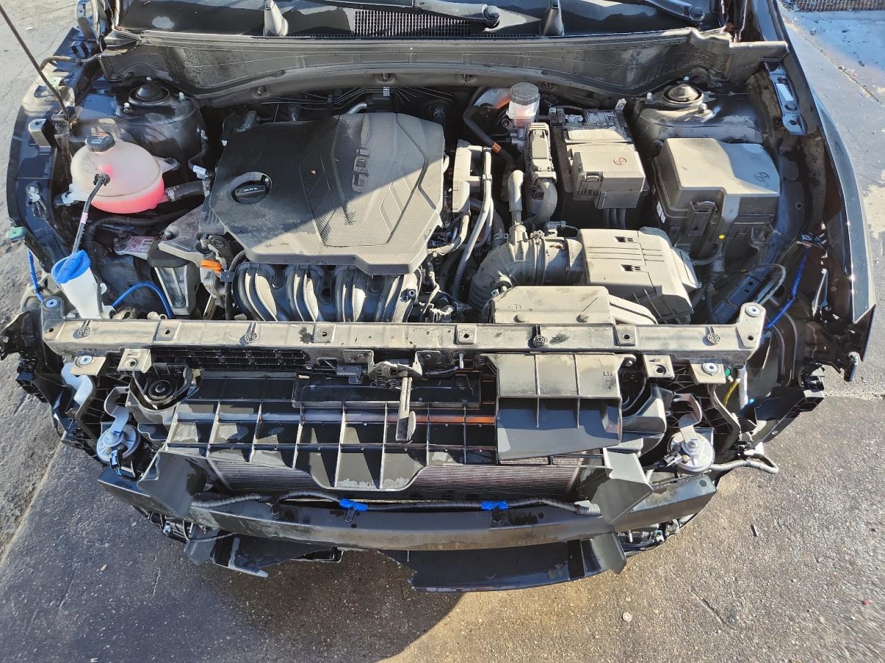 2023 Kia Sportage X Line VIN: 5XYK6CAF7PG007656 Lot: 81036975