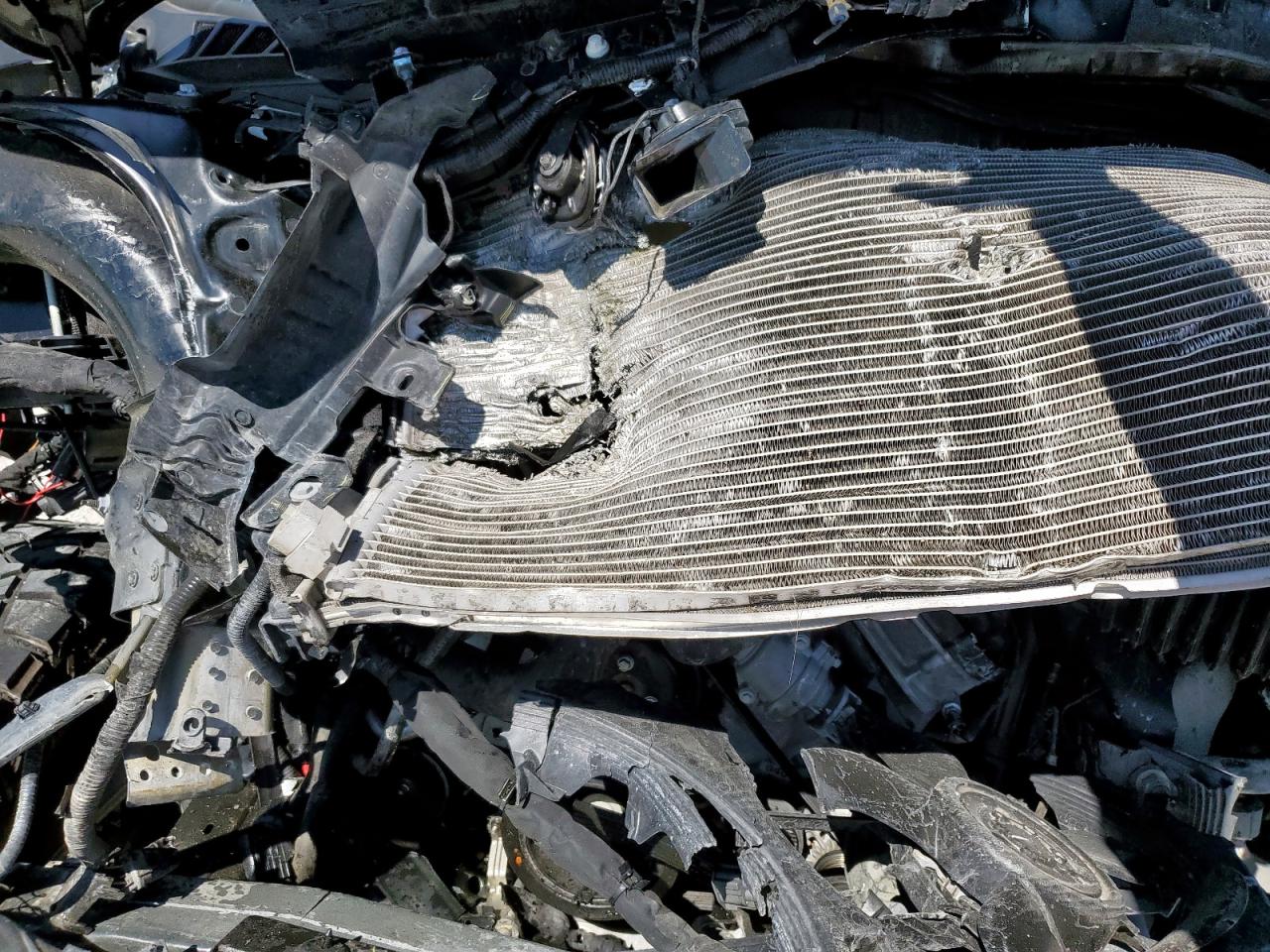 2024 Ford F150 Xlt VIN: 1FTFW3L5XRKE32758 Lot: 83805415