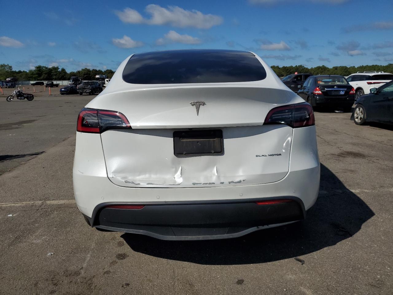 2022 Tesla Model Y VIN: 7SAYGDEE1NF565671 Lot: 81042355