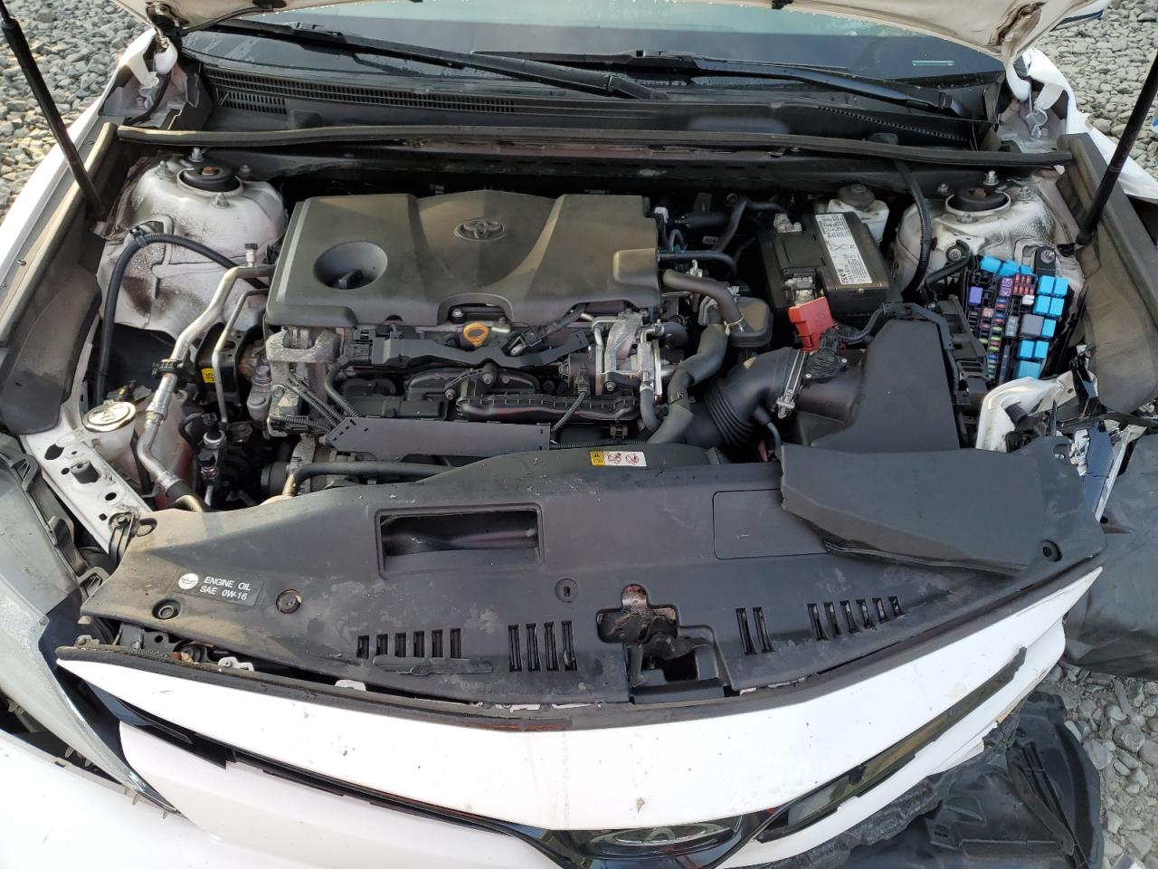 2019 Toyota Camry L VIN: 4T1B11HK9KU765166 Lot: 81632965