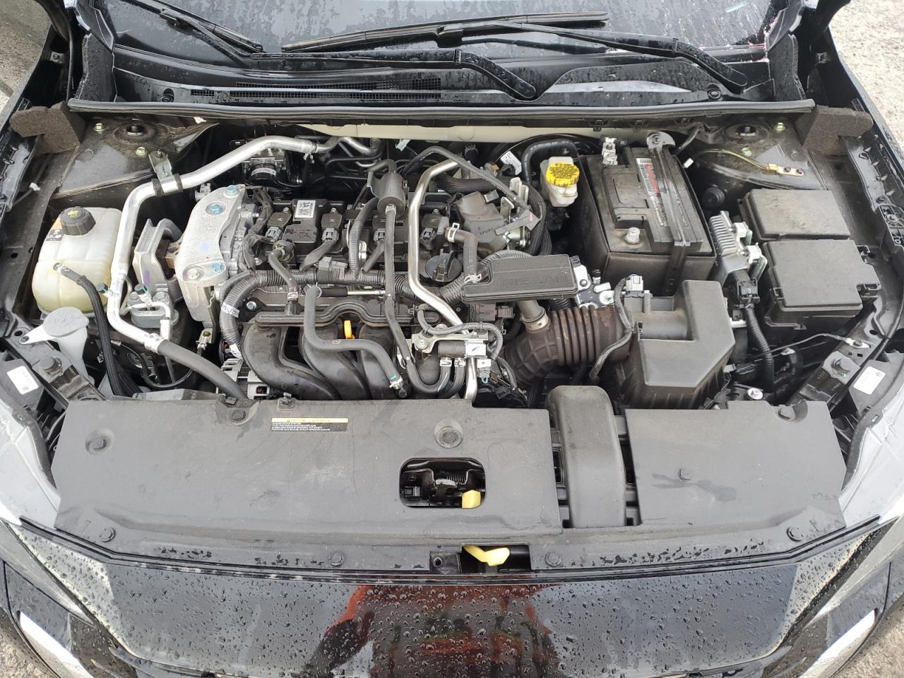 2025 Nissan Sentra Sv VIN: 3N1AB8CV8SY276698 Lot: 83810535