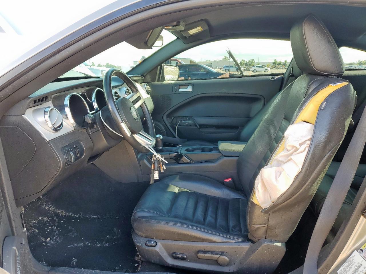 2009 Ford Mustang Gt VIN: 1ZVHT82H195106031 Lot: 81744055