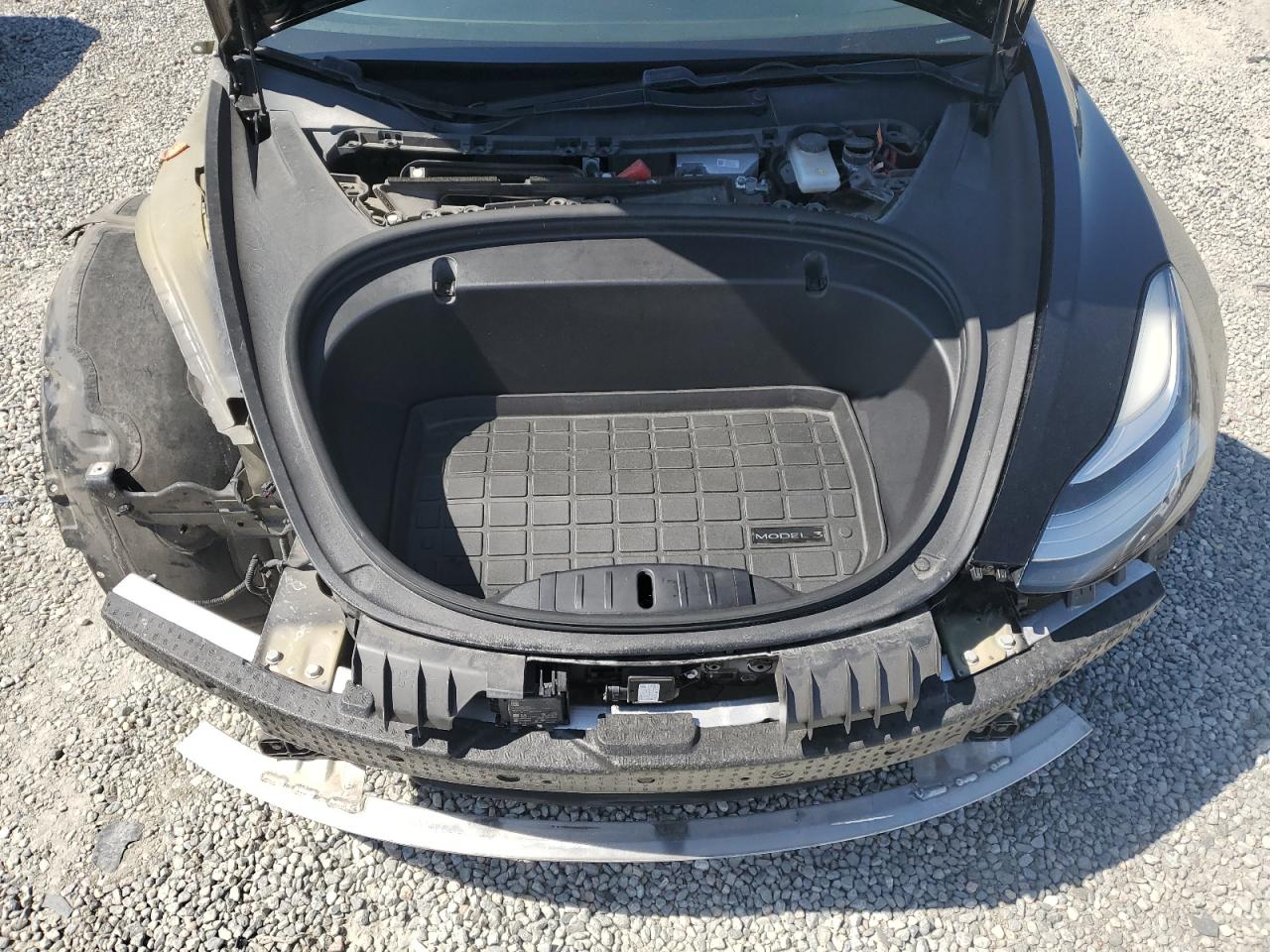 2019 Tesla Model 3 VIN: 5YJ3E1EA3KF297372 Lot: 81272505