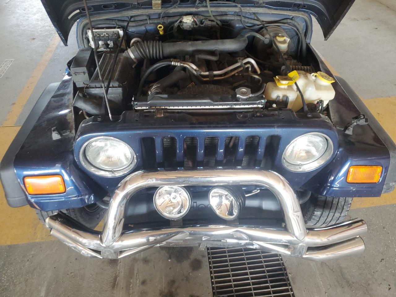 2003 Jeep Wrangler Commando VIN: 1J4FA39S13P324500 Lot: 70891675