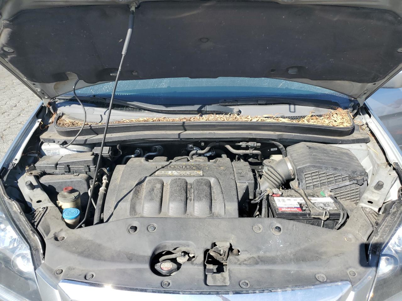 2006 Honda Odyssey Exl VIN: 5FNRL38736B047177 Lot: 81247885