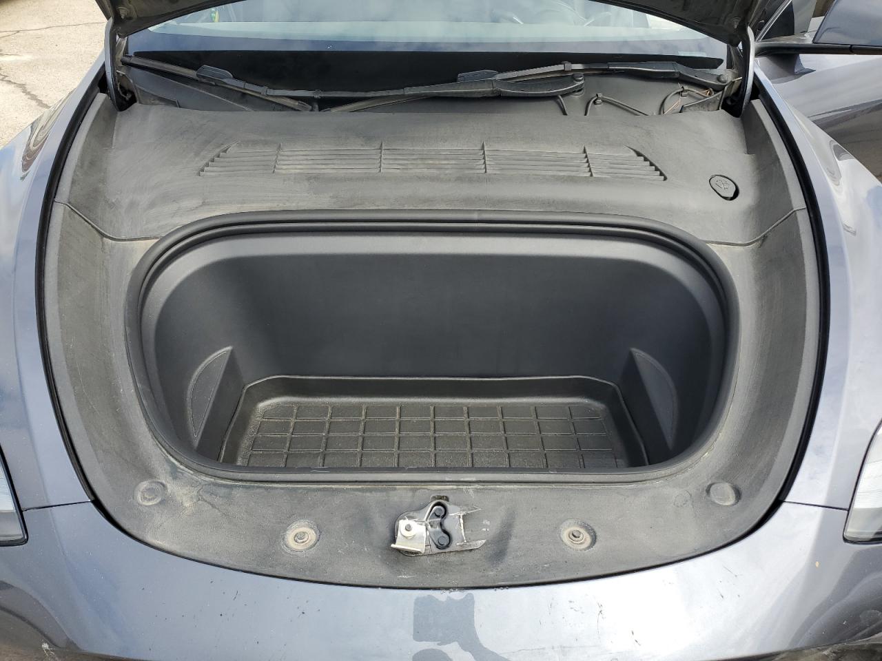 2023 Tesla Model Y VIN: 7SAYGDEE1PF910670 Lot: 81684615