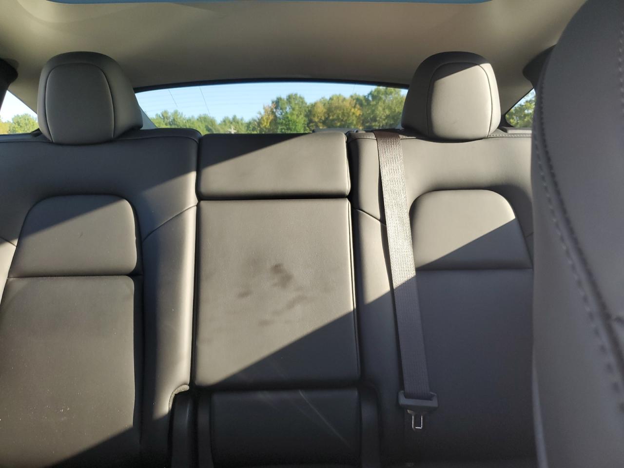 2023 Tesla Model Y VIN: 7SAYGAEE0PF864389 Lot: 81257495