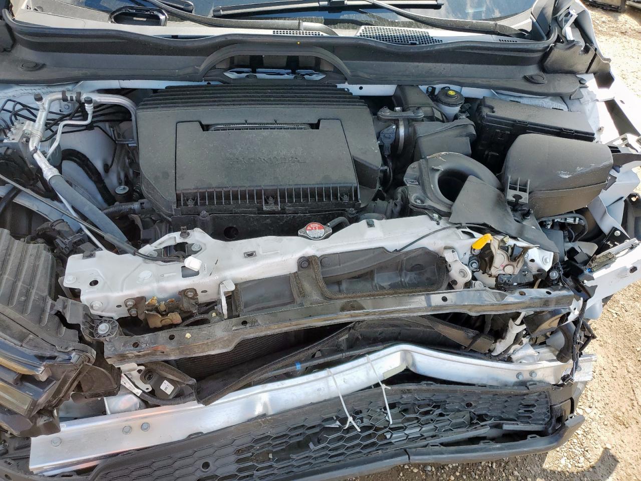 2025 Honda Pilot Black VIN: 5FNYG1H91SB037697 Lot: 83821135