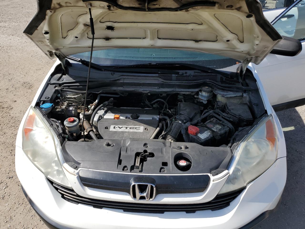 2008 Honda Cr-V Lx VIN: 5J6RE48398L819446 Lot: 71977105