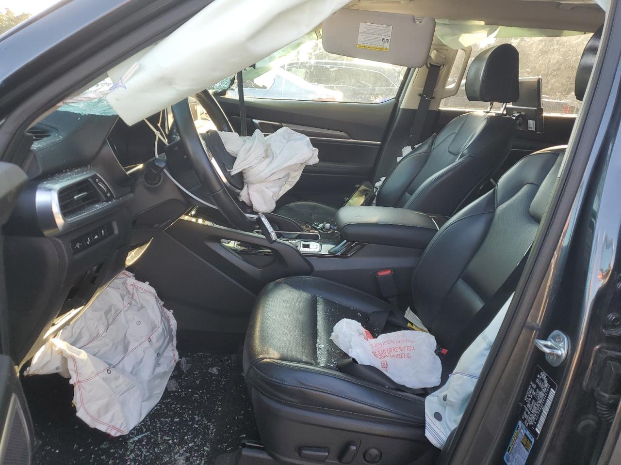 2022 Kia Telluride S VIN: 5XYP64HCXNG227894 Lot: 83931045