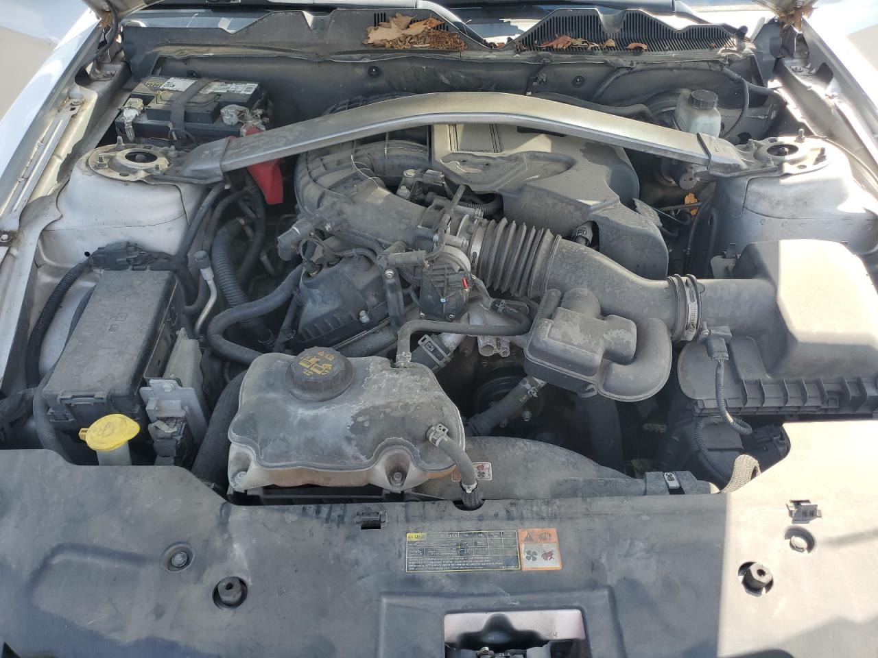 2012 Ford Mustang VIN: 1ZVBP8AM5C5222915 Lot: 81831505