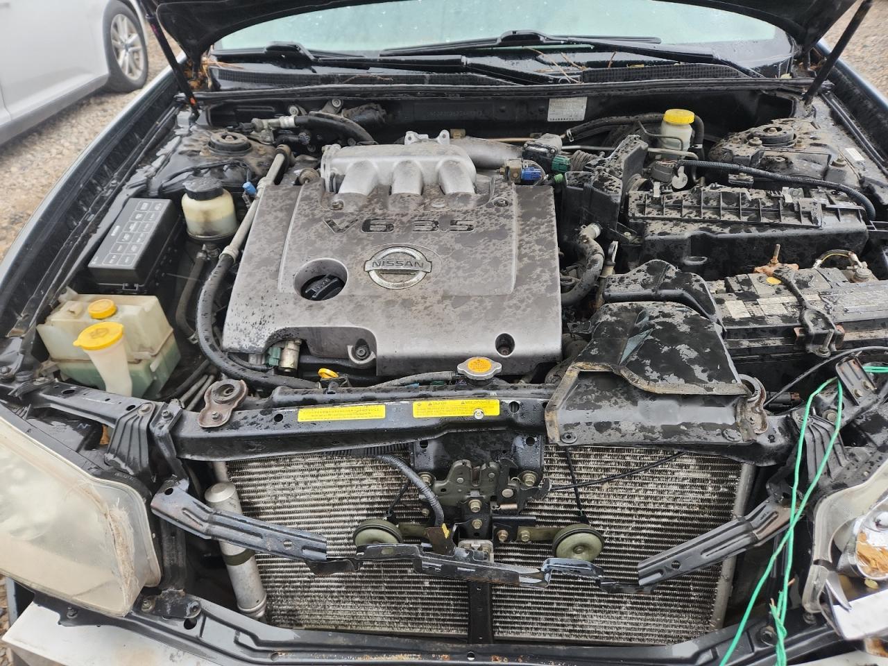 2002 Nissan Maxima Gle VIN: JN1DA31D62T449852 Lot: 84397105