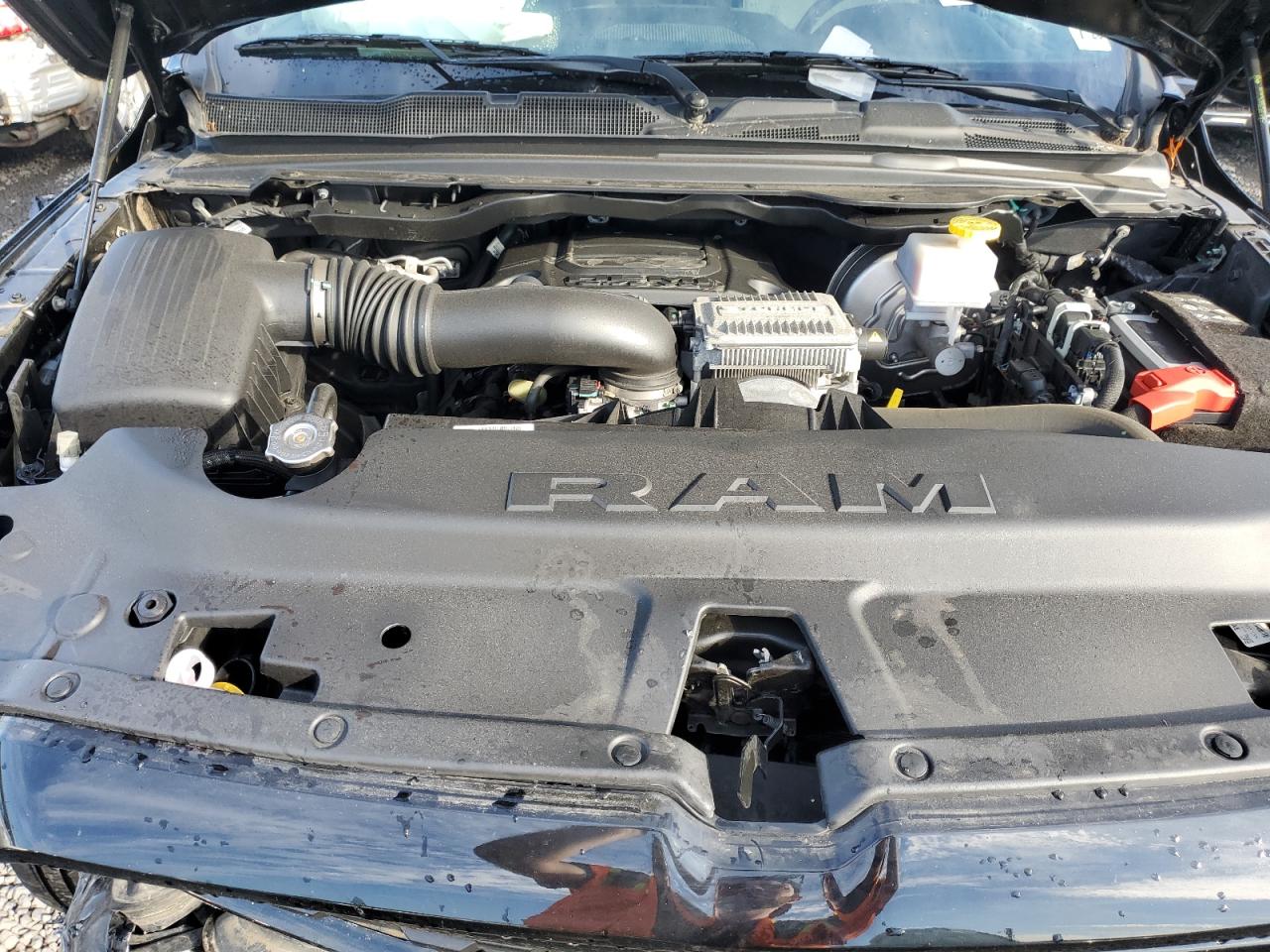 2023 Ram 1500 Big Horn/Lone Star VIN: 1C6SRFFTXPN509469 Lot: 84006075