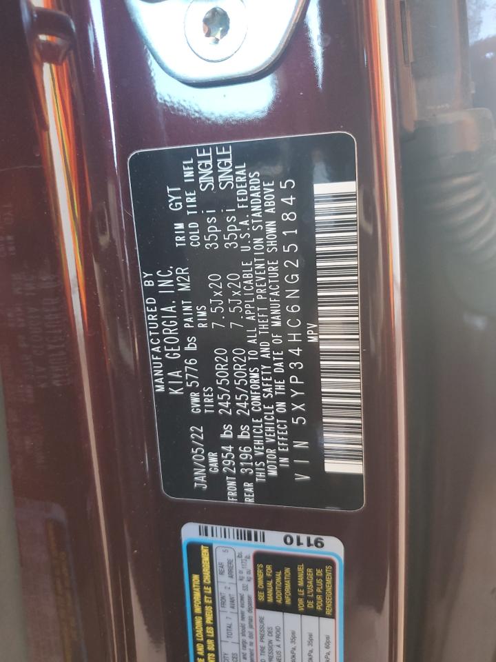 2022 Kia Telluride Ex VIN: 5XYP34HC6NG251845 Lot: 81904665
