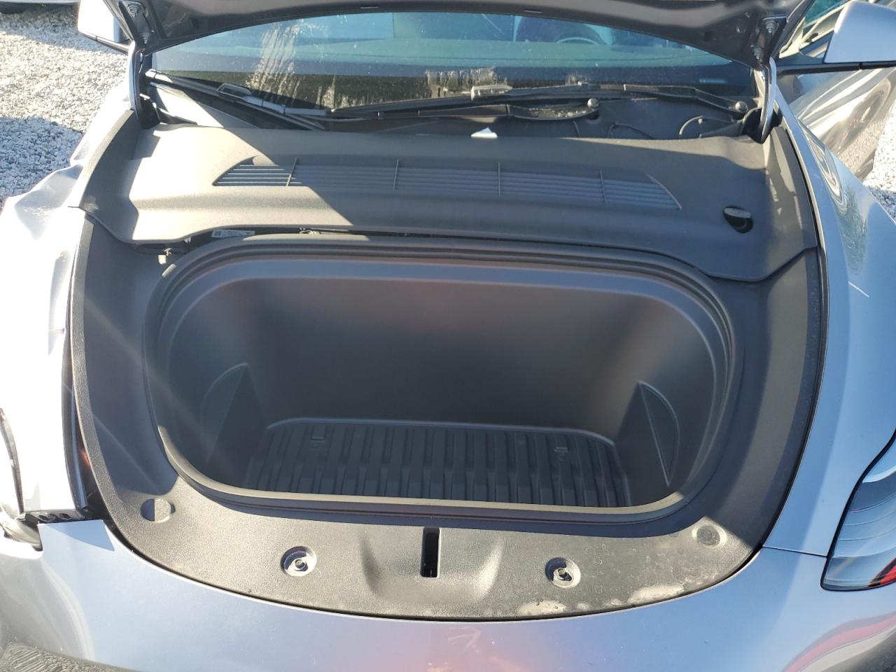 2024 Tesla Model Y VIN: 7SAYGDEE6RA319993 Lot: 84586865