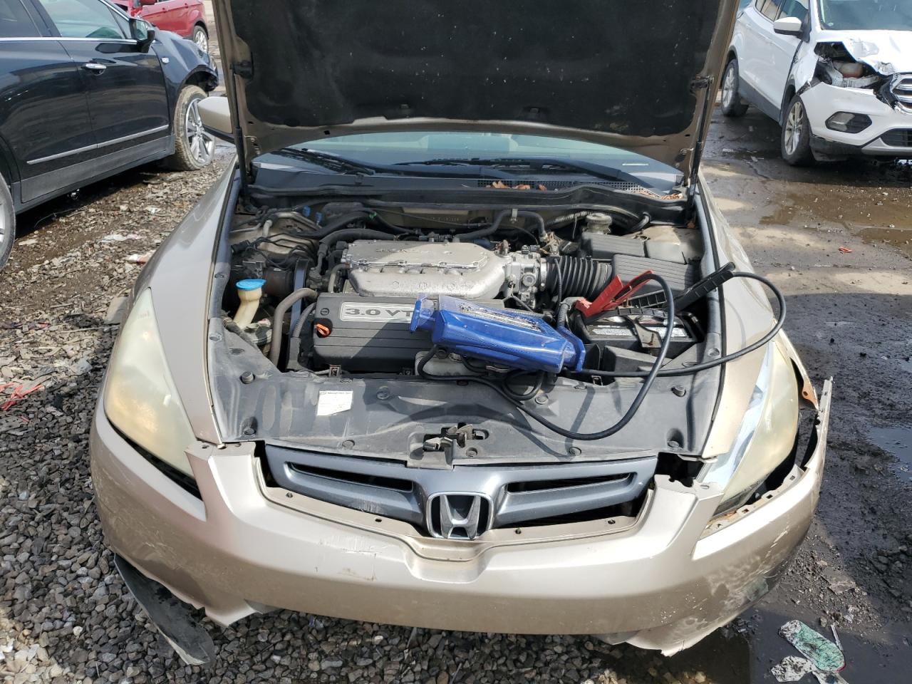 2005 Honda Accord Ex VIN: 1HGCM665X5A080238 Lot: 81710155