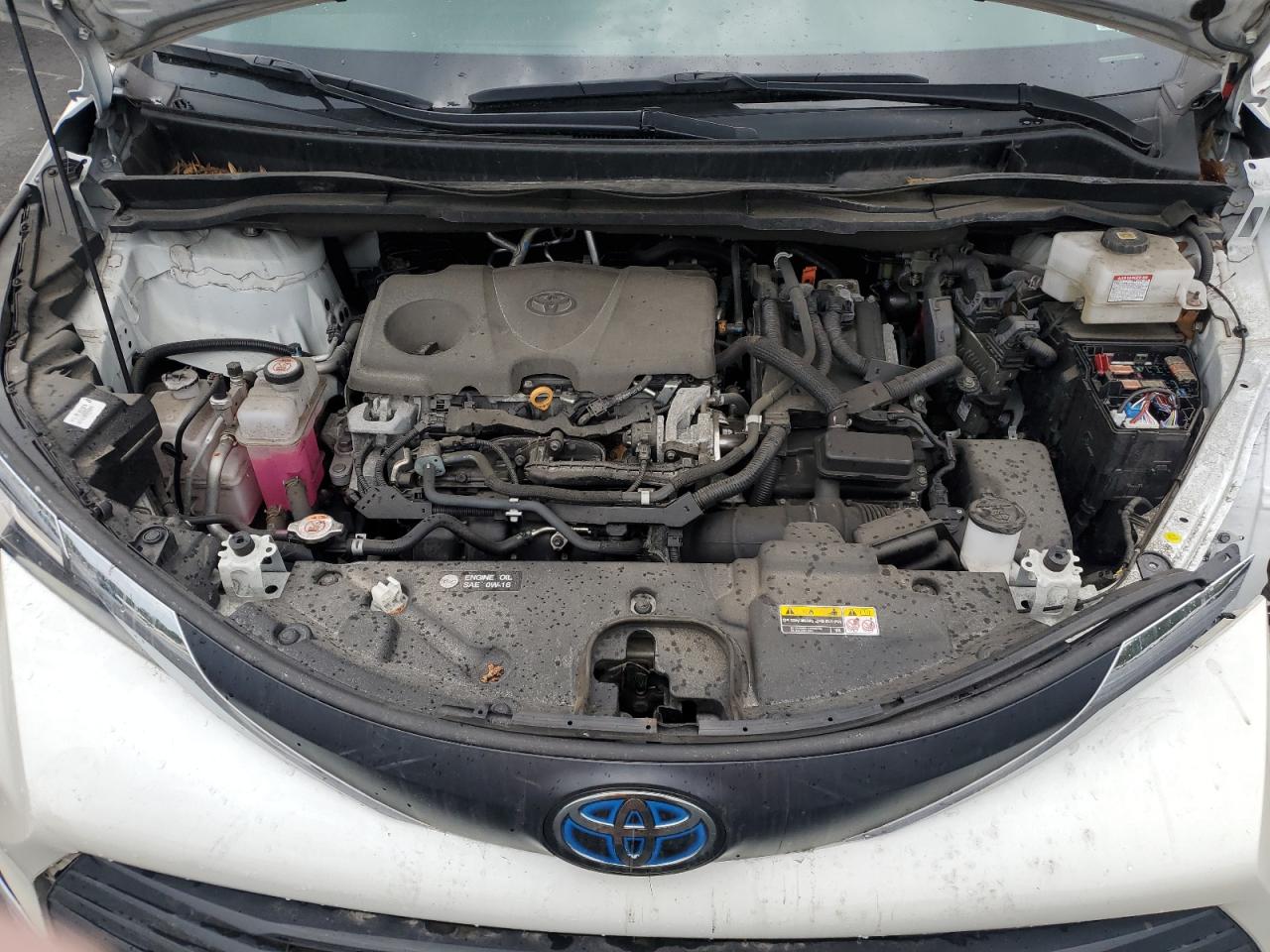 2021 Toyota Sienna Xle VIN: 5TDYRKEC5MS057157 Lot: 70670485