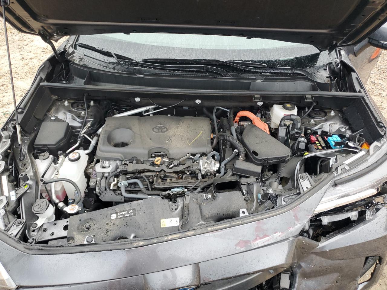 2022 Toyota Rav4 Xle VIN: 4T3RWRFV2NU081616 Lot: 84189955
