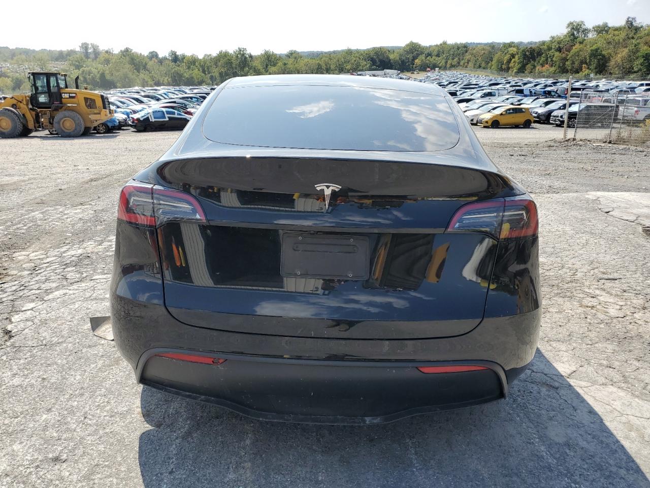 2024 Tesla Model Y VIN: 7SAYGDED6RF206541 Lot: 81378765