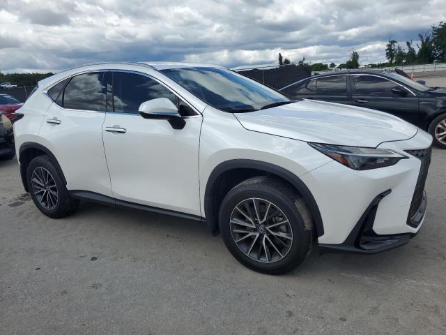 LEXUS NX 350 PRE 2024 Белы