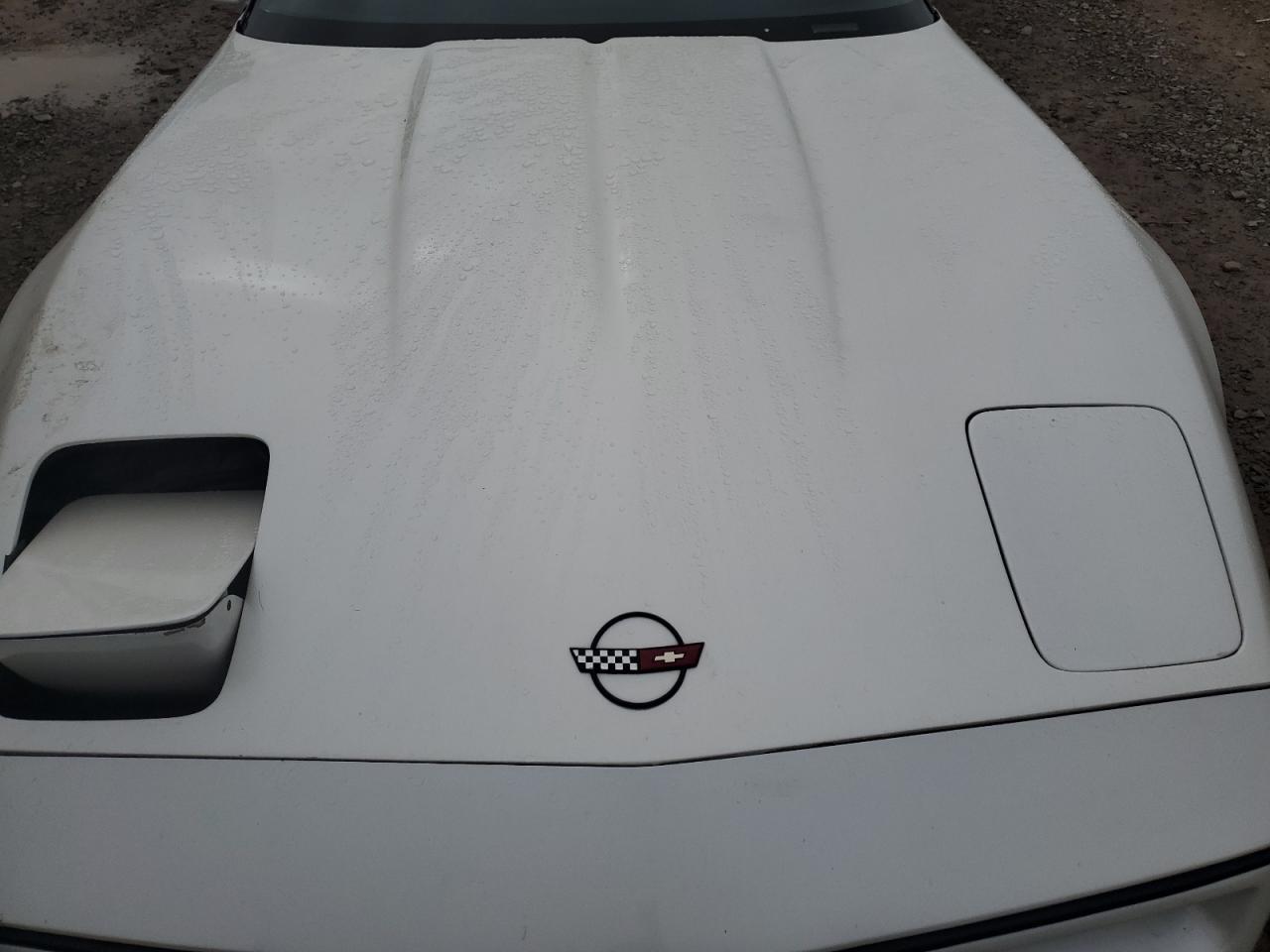 1985 Chevrolet Corvette VIN: 1G1YY0782F5105974 Lot: 82097505